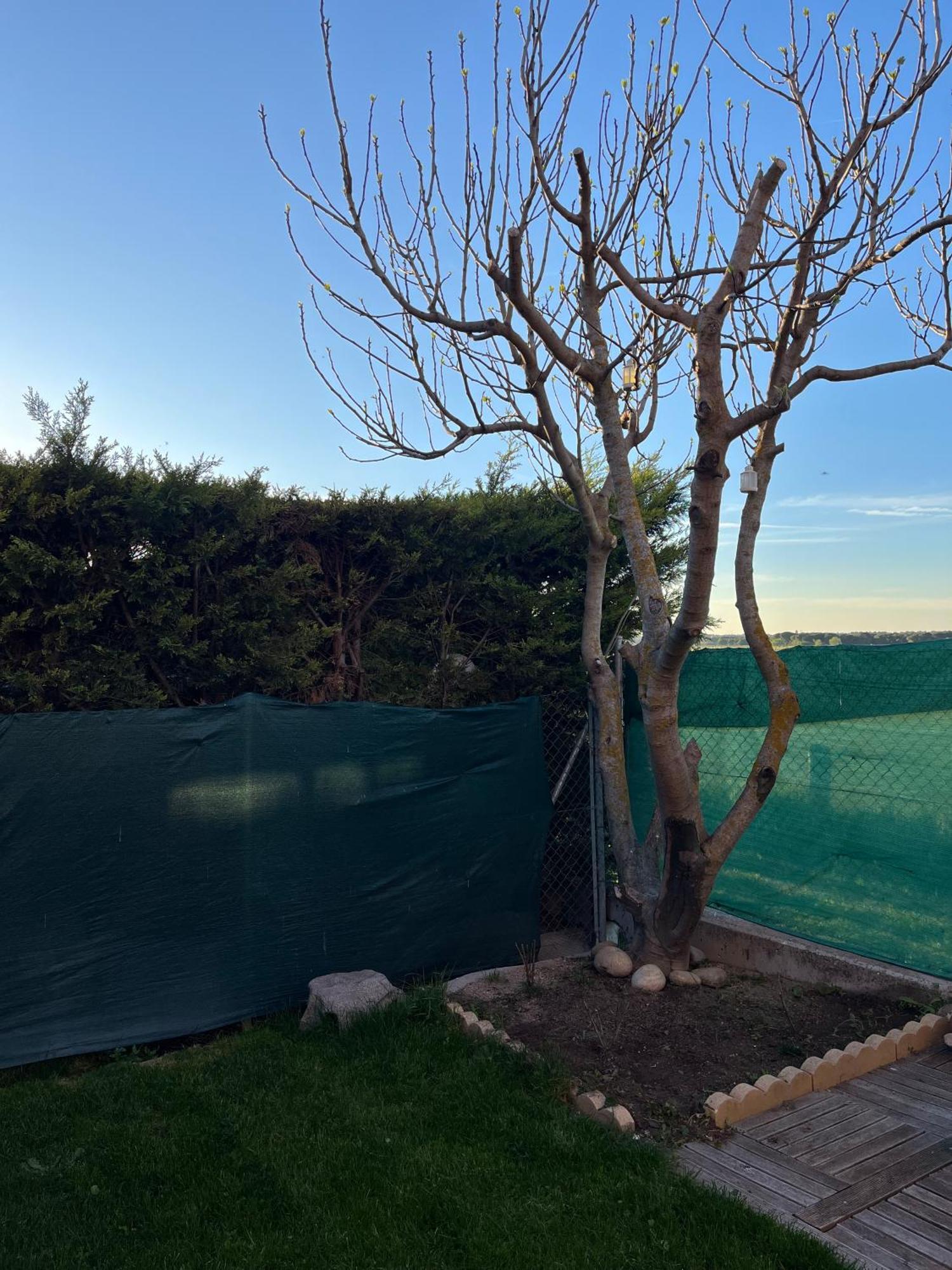 La Casa Del Cipres Villa Aldeamayor de San Martin Dış mekan fotoğraf